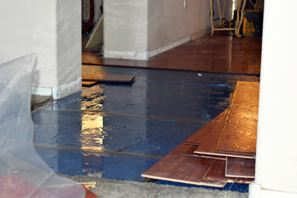 Professional Sewage Cleanup technician working in Pisgah Forest, NC