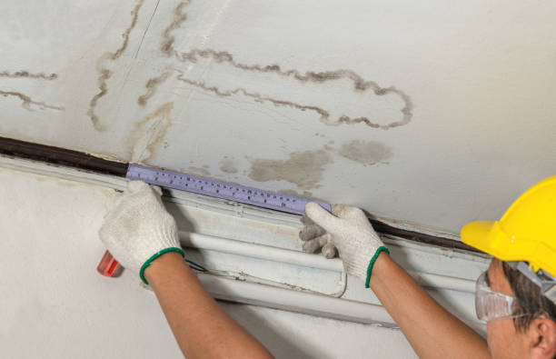 Reliable Sewage Cleanup contractor in Pisgah Forest, NC by Local Water Damage Repair